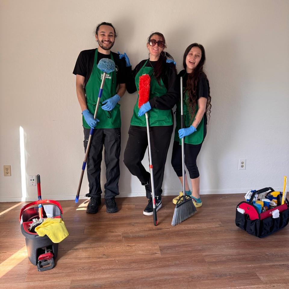 Ludlow Cleaning Co. team